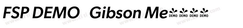 FSP DEMO   Gibson Me字体转换